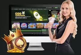 dindong MSC live dealer blackjack table with professional cards and studio lighting