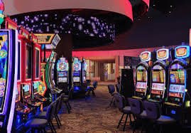 Dragon Tiger card game on dindong MSC with live dealer and real-time results